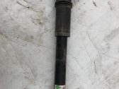 Rear shock absorber/damper