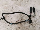 Other wiring loom