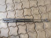 Tailgate/trunk strut/damper