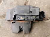 Tailgate/trunk/boot lock/catch/latch