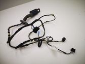 Front door wiring loom