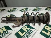 Front shock absorber with coil spring