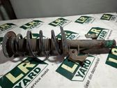 Front shock absorber/damper