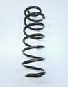 Front coil spring