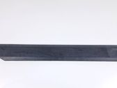 Rear door trim (molding)