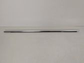 Front door glass trim molding