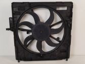 Electric radiator cooling fan