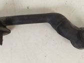 Seal rubber (tailgate)