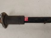 Rear shock absorber/damper