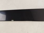 Rear door glass trim molding