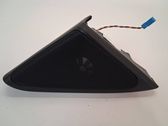Front door speaker