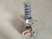 Front wheel hub spindle knuckle