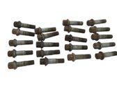 Nuts/bolts