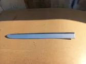 Rear door trim (molding)