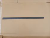 Front door trim (molding)