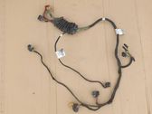 Front door wiring loom