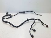 Other wiring loom