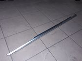 Front door glass trim molding