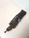 Rear shock absorber with coil spring