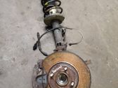 Front wheel hub spindle knuckle