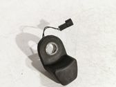 Tailgate glass/window release handle