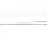 Sill/side skirt trim