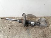 Front shock absorber/damper