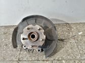 Cubo de rueda trasera