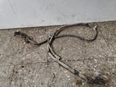 Other wiring loom