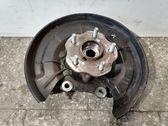 Rear wheel hub