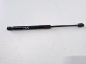 Tailgate/trunk strut/damper