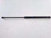 Front bonnet/hood damper/strut