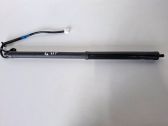 Tailgate/trunk strut/damper