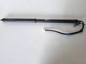 Tailgate/trunk strut/damper