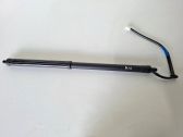 Tailgate/trunk strut/damper