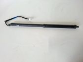Tailgate/trunk strut/damper