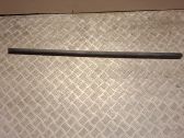 Front door trim (molding)