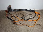 Other wiring loom