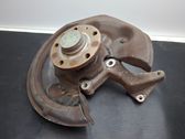 Rear wheel hub