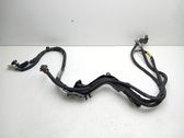 Other wiring loom
