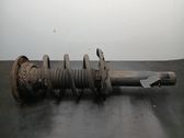 Front shock absorber with coil spring