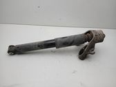 Rear shock absorber/damper