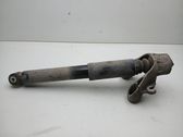 Rear shock absorber/damper