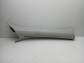 (A) pillar trim