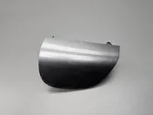 Muffler trim