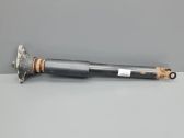 Stoßdämpfer hinten