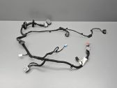 Front door wiring loom