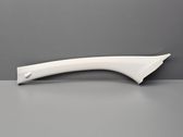 (A) pillar trim