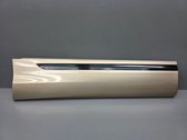 Rear door trim (molding)
