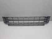 Grille inférieure de pare-chocs avant